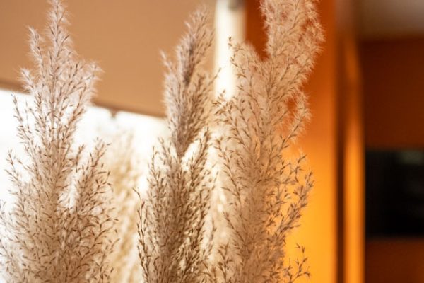 AIRBNB_THE_ANNEX_ROOM_215_ORANGE_ROOM-10