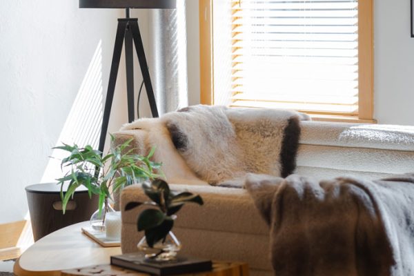 YOUNG_111_ROBERTS_STREET_UNIT_3_AIRBNB_PORTERFIELD_2022-13