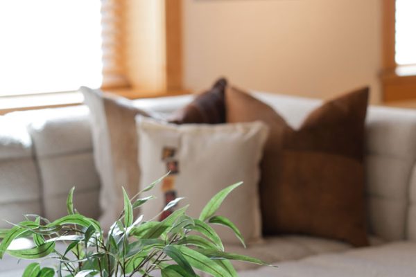 YOUNG_111_ROBERTS_STREET_UNIT_3_AIRBNB_PORTERFIELD_2022-15