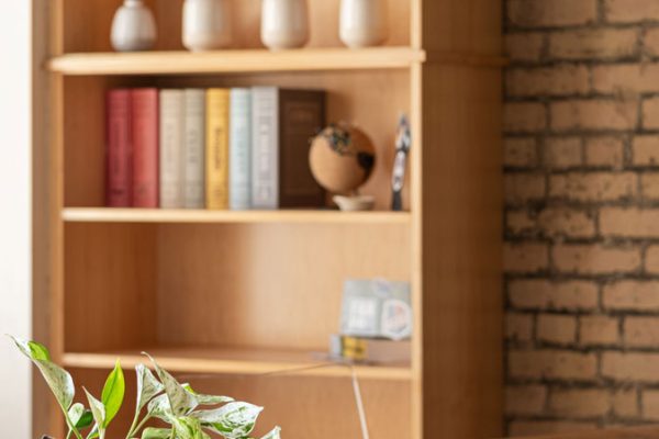 YOUNG_111_ROBERTS_STREET_UNIT_3_AIRBNB_PORTERFIELD_2022-16