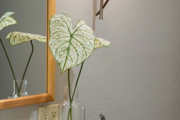 YOUNG_111_ROBERTS_STREET_UNIT_3_AIRBNB_PORTERFIELD_2022-29
