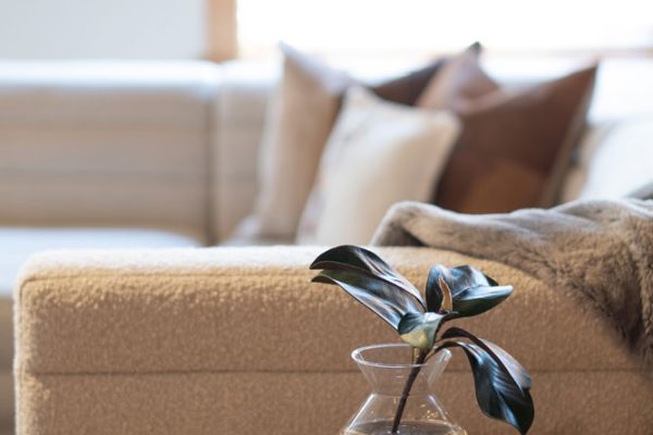 YOUNG_111_ROBERTS_STREET_UNIT_3_AIRBNB_PORTERFIELD_2022-30