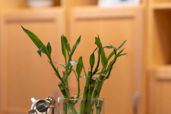 YOUNG_111_ROBERTS_STREET_UNIT_3_AIRBNB_PORTERFIELD_2022-32